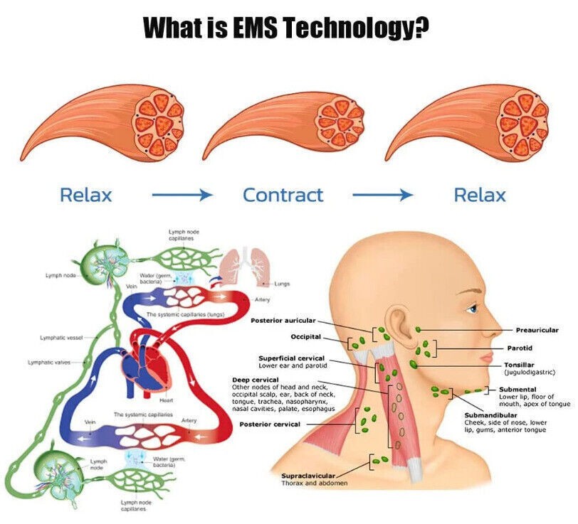 EMS Neck Acupoints Lymphvity Massage Device, Intelligent Neck Massage Xmas Gift
