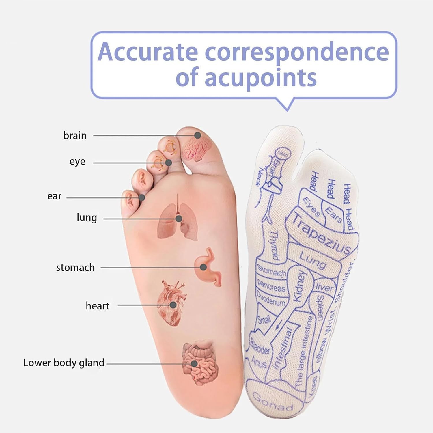 4pcs Acupressure Reflexology Socks w/ 2 Trigger Point Massage Tool Foot Massage