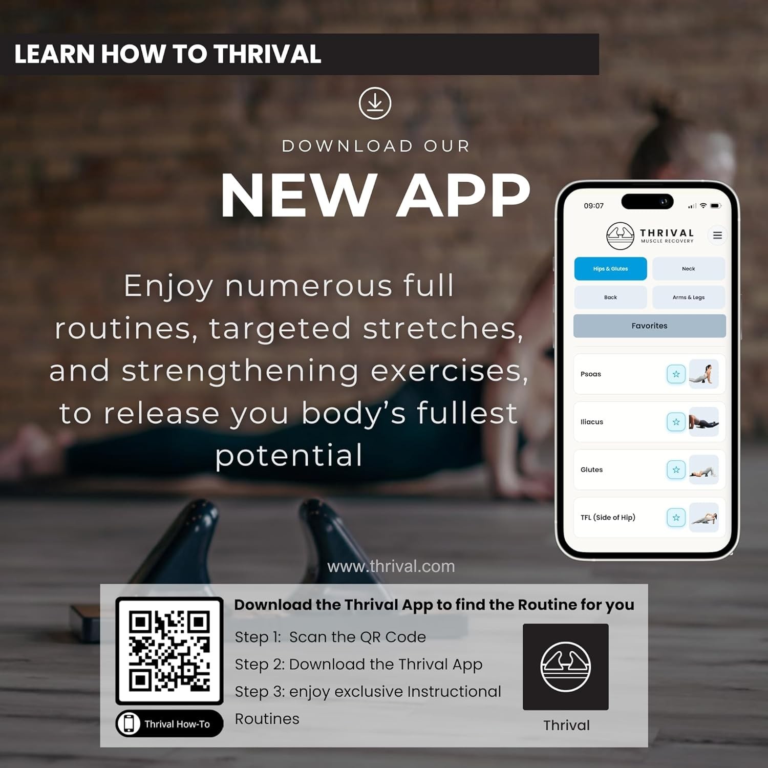 Wave – Fully Adjustable Psoas Muscle Release Tool with Thrival App for QL, Hip F