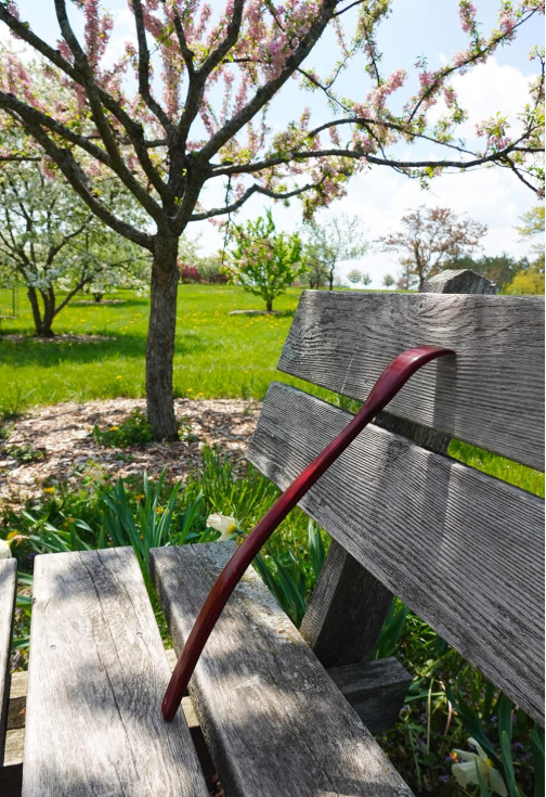 Oversized Wooden Back Scratcher: 18 Extended Curved Handle for Better Reach,