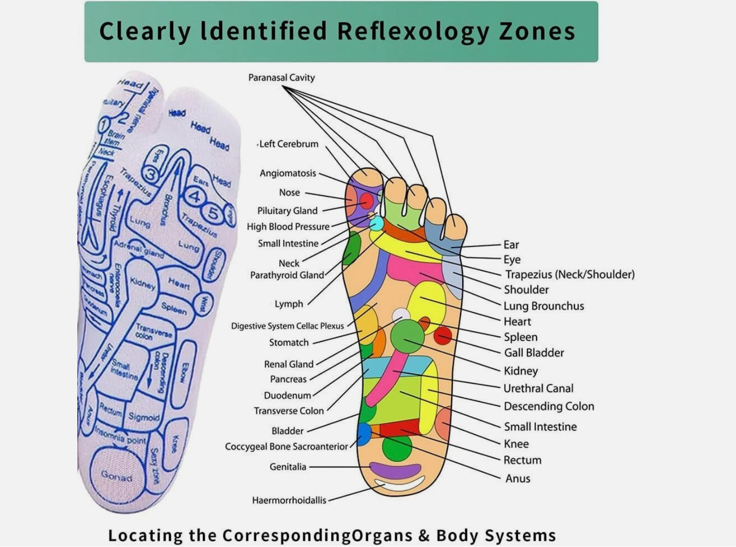 NEW Reflexology Socks and Glove with 4 Acupressure Acupoint Massage Tools Set