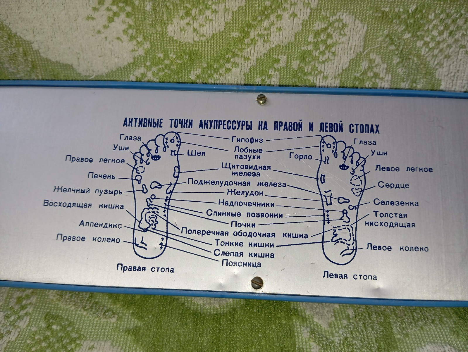 Soviet Original USSR Plastic Foot Massager Exerciser Equipment TONUS Vintage