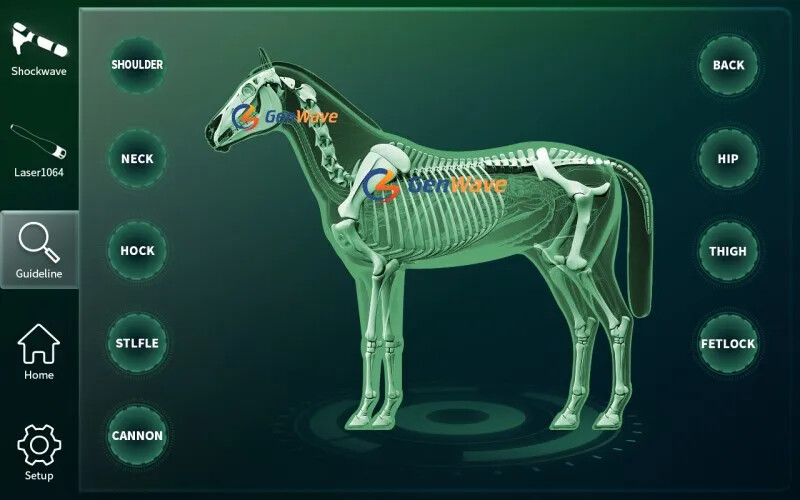 2 in1 1064 Laser 10 Bar ESWT shcokwave therapy Machine For Horse Vet Body Relax