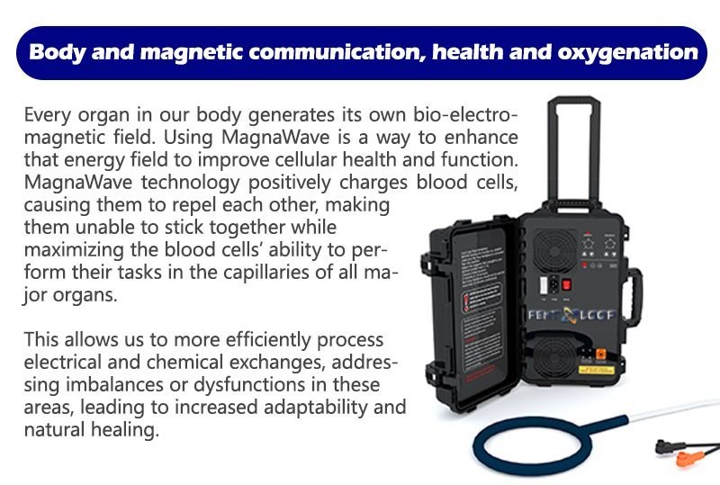 Pro PMST PEMF EMTT Magnetic Physio Therapy Health Massage Device Horse Vets