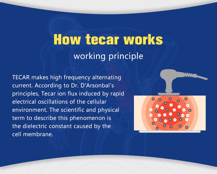 Tecar Therapy Machine RET CET Pain Relief Body Shaping Skin Lifting Tightening