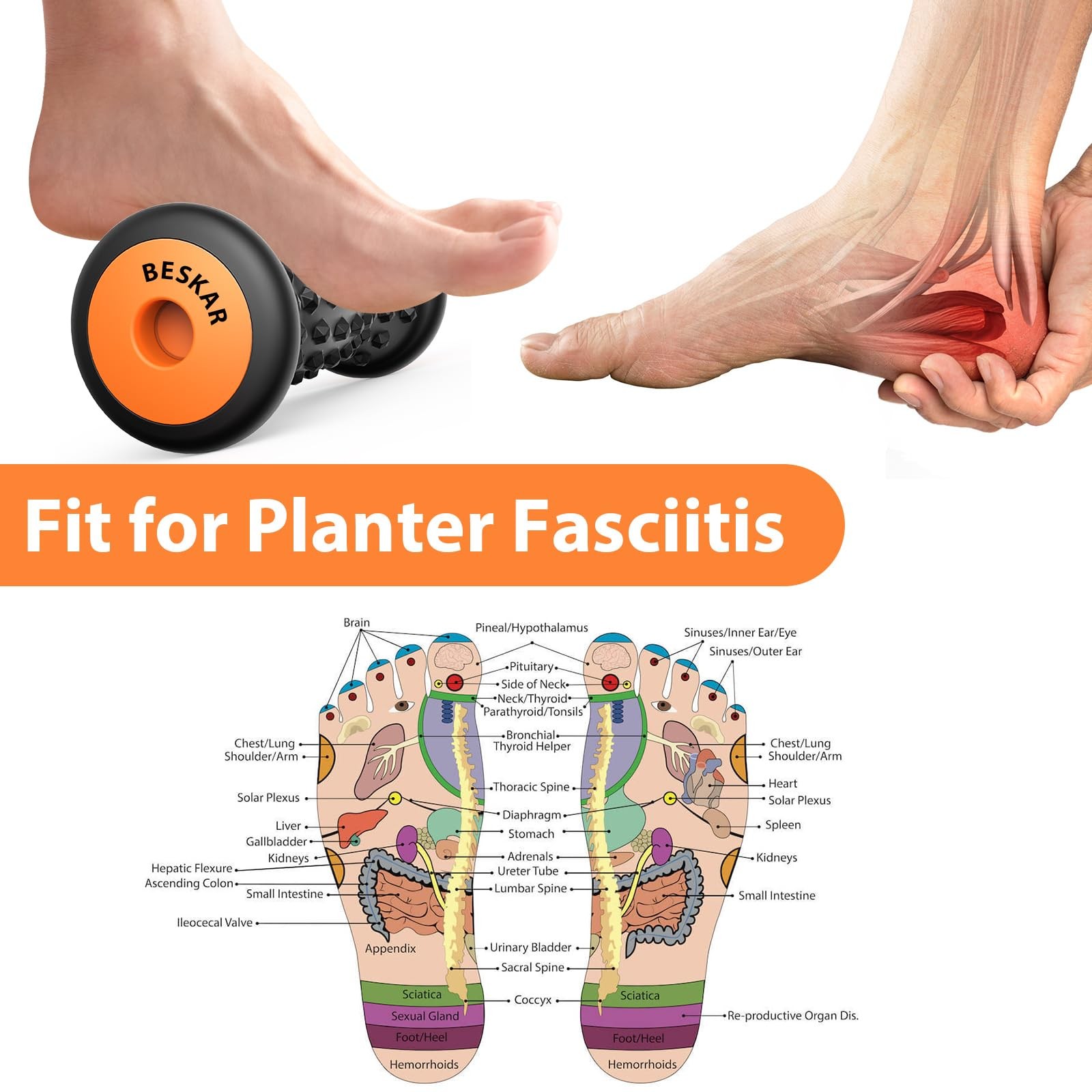 BESKAR Foot Massager Roller Plantar Fasciitis Relief Deep Tissue Pain Tool (