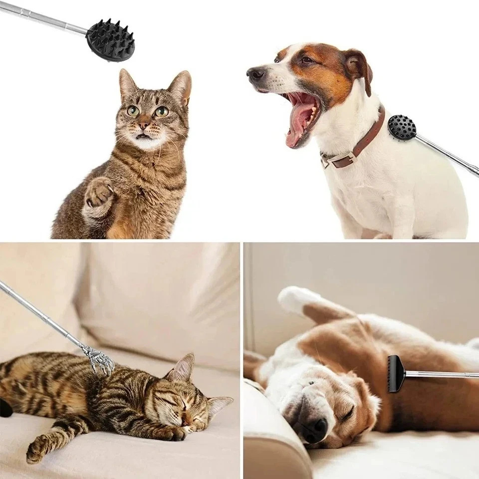 Adjustable Cactus Back Scratcher Massager 2 Spike Sizes PVC Itching Stick