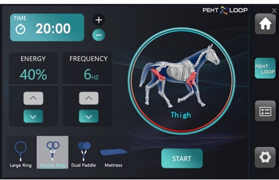 Pemf Magnetic Therapy Device Pmst Loop Horse Physio Magneto Therapy Pemf Machine