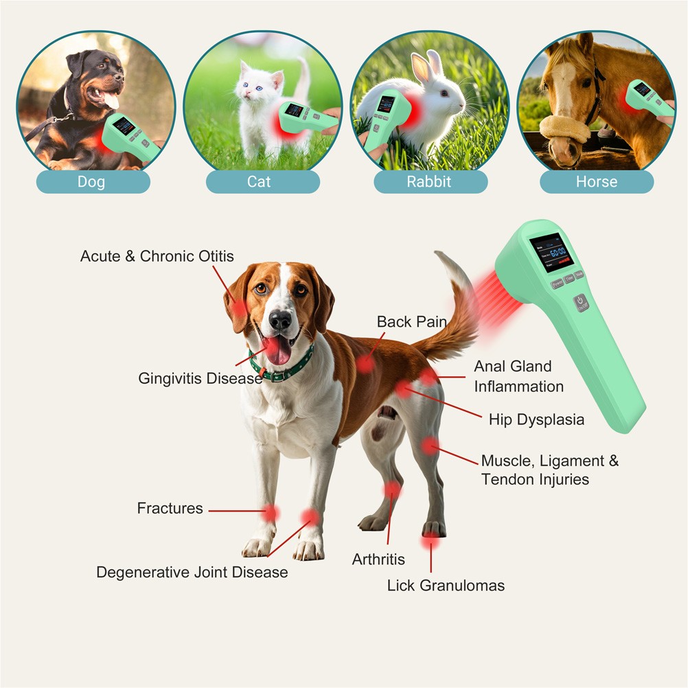 880mW Laser Treatment Cold Laser Therapy Device for Pain Relief Wound Healing