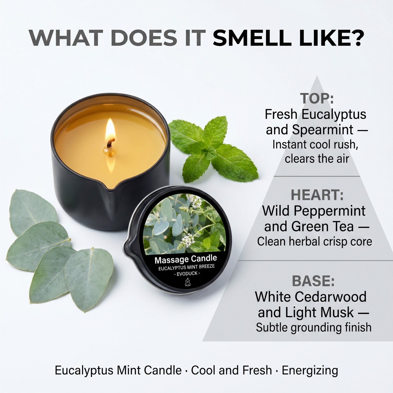 2 Pack Eucalyptus Mint Massage Candle 2oz Soy Body Oil Couples Spa Gift