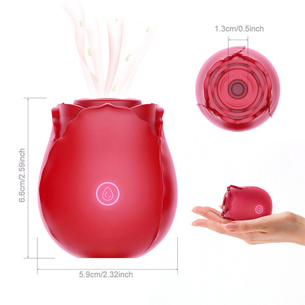 Discreet 10 Speed Personal Massage Rose Vibrator sucking Massager for Women