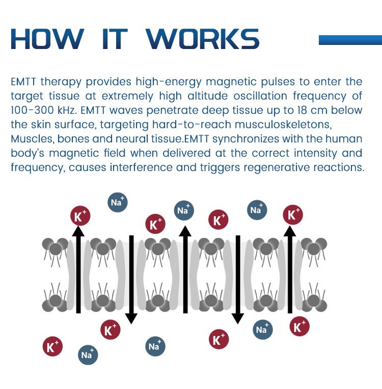 EMTT Physiotherapy Physio Magneto Machine for Pain Relief Sports Injury Recovery