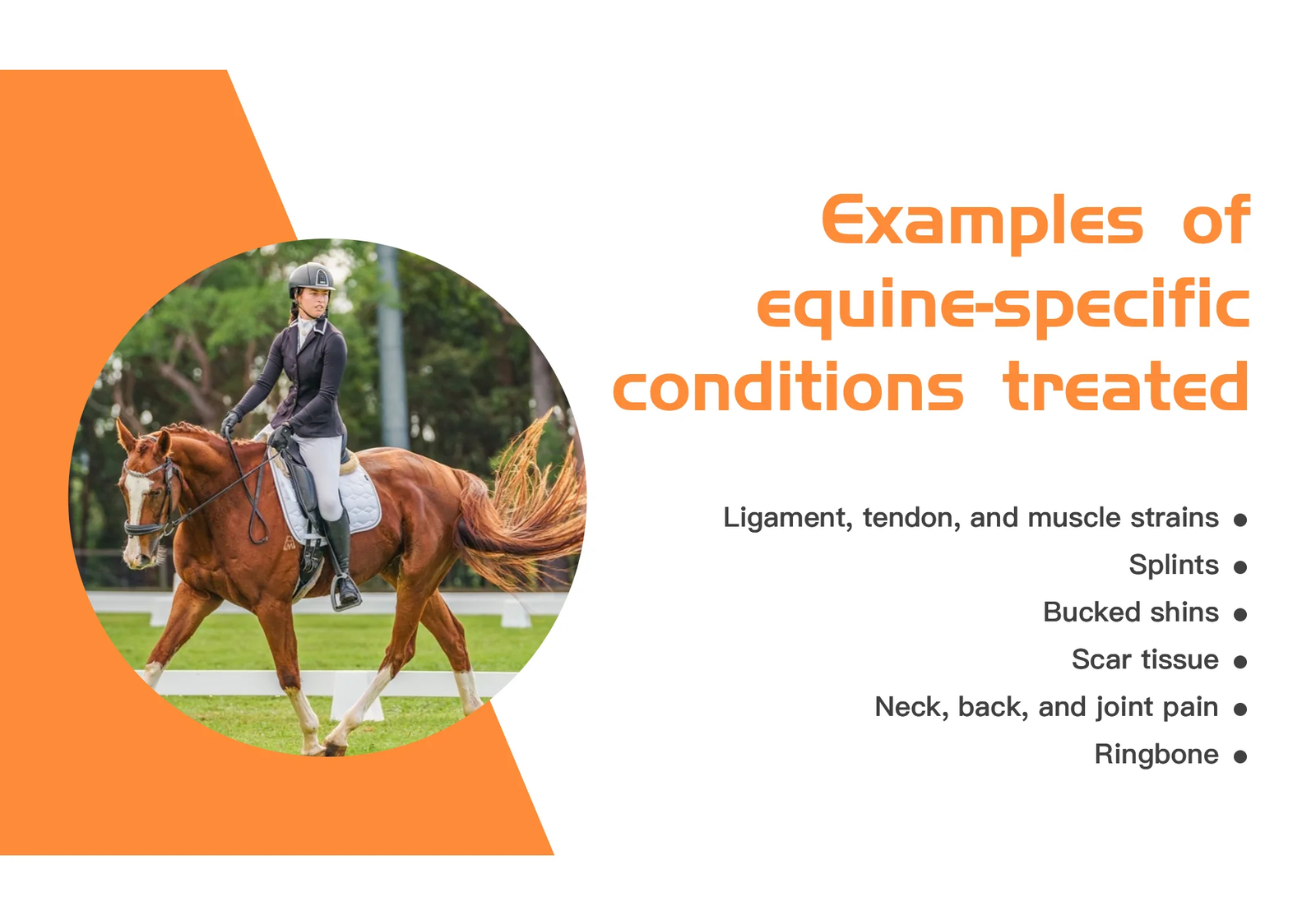 Equine Veterinary Electromagnetic Shockwave Therapy Device For Pain Relief Shock