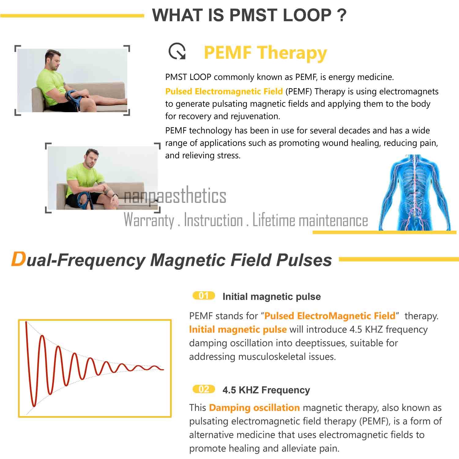 Protable PMST PEMF EMTT Magnetic Physio Therapy Health Massage Device Machine