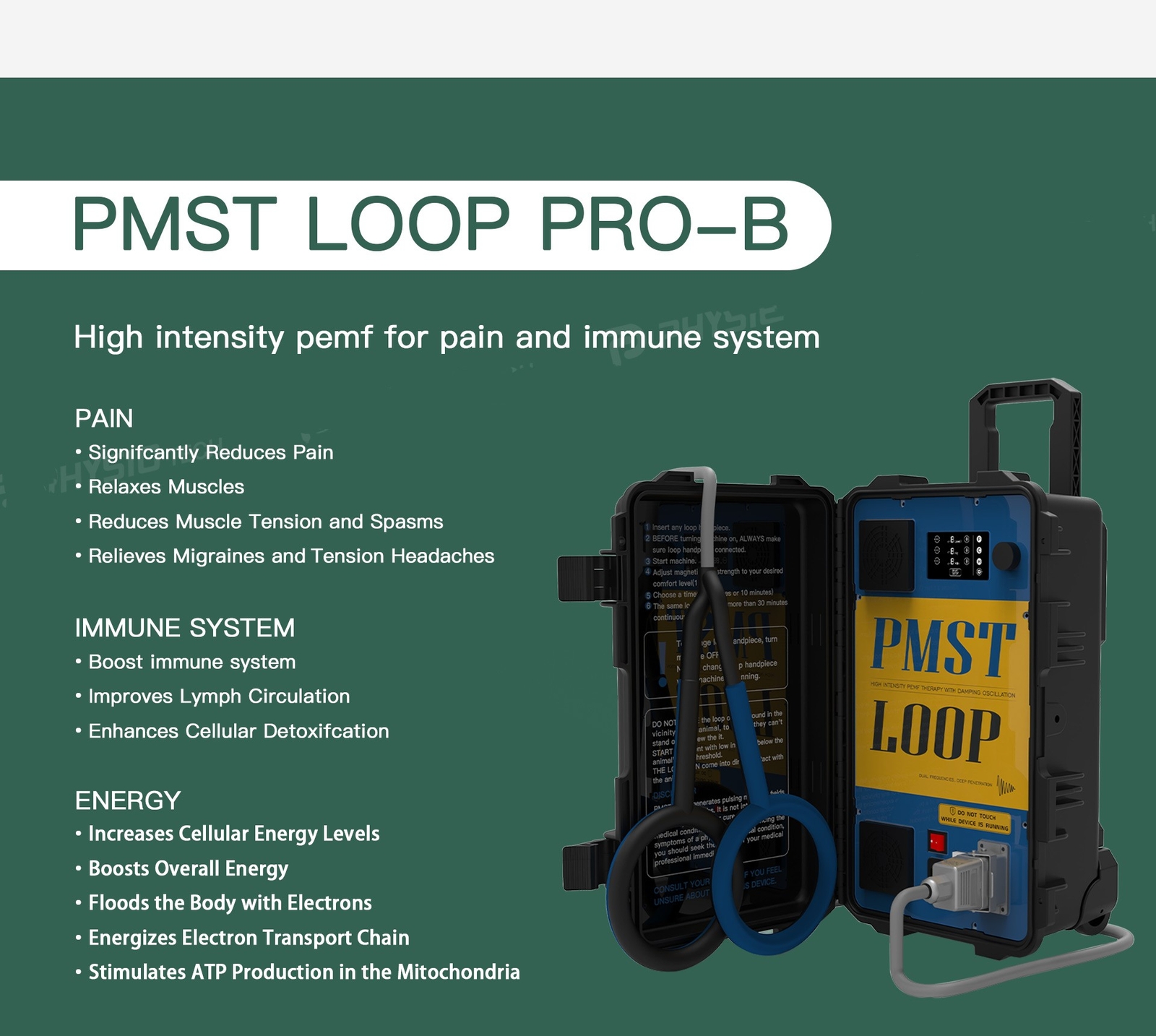 Portable Magnetic Pemf PMST LOOP PEMF Human Rehabilitation Physical Therapy Care
