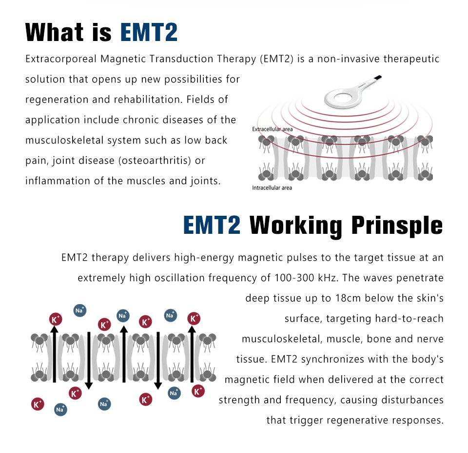 PEMF Physio Magnetic Therapy EMTT Machine for Bones Joints Muscle Pain Releax