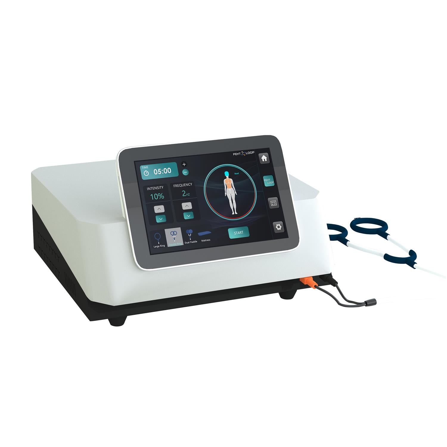 PMST Loop EMTT PEMF Machine Magnetic Physio Therapy Massage Pain Relief Animals
