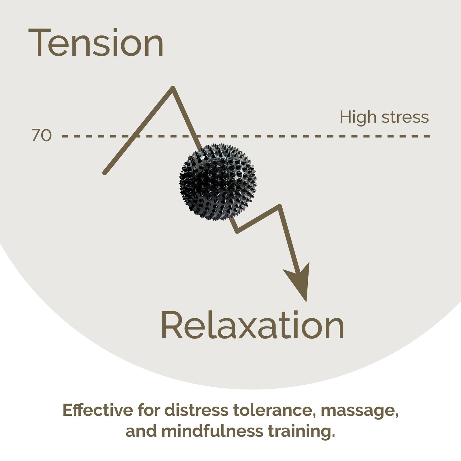 2X Spiky DBT Skill Balls | 2inch | Magnetic Balls | Spiky Massage Balls for R…