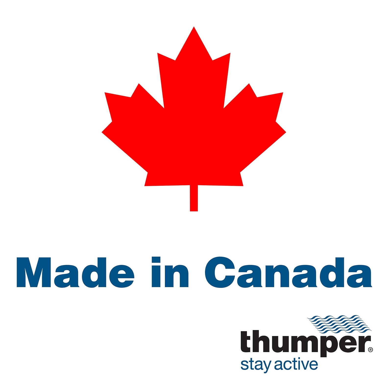Thumper Maxi Pro Carrying Case