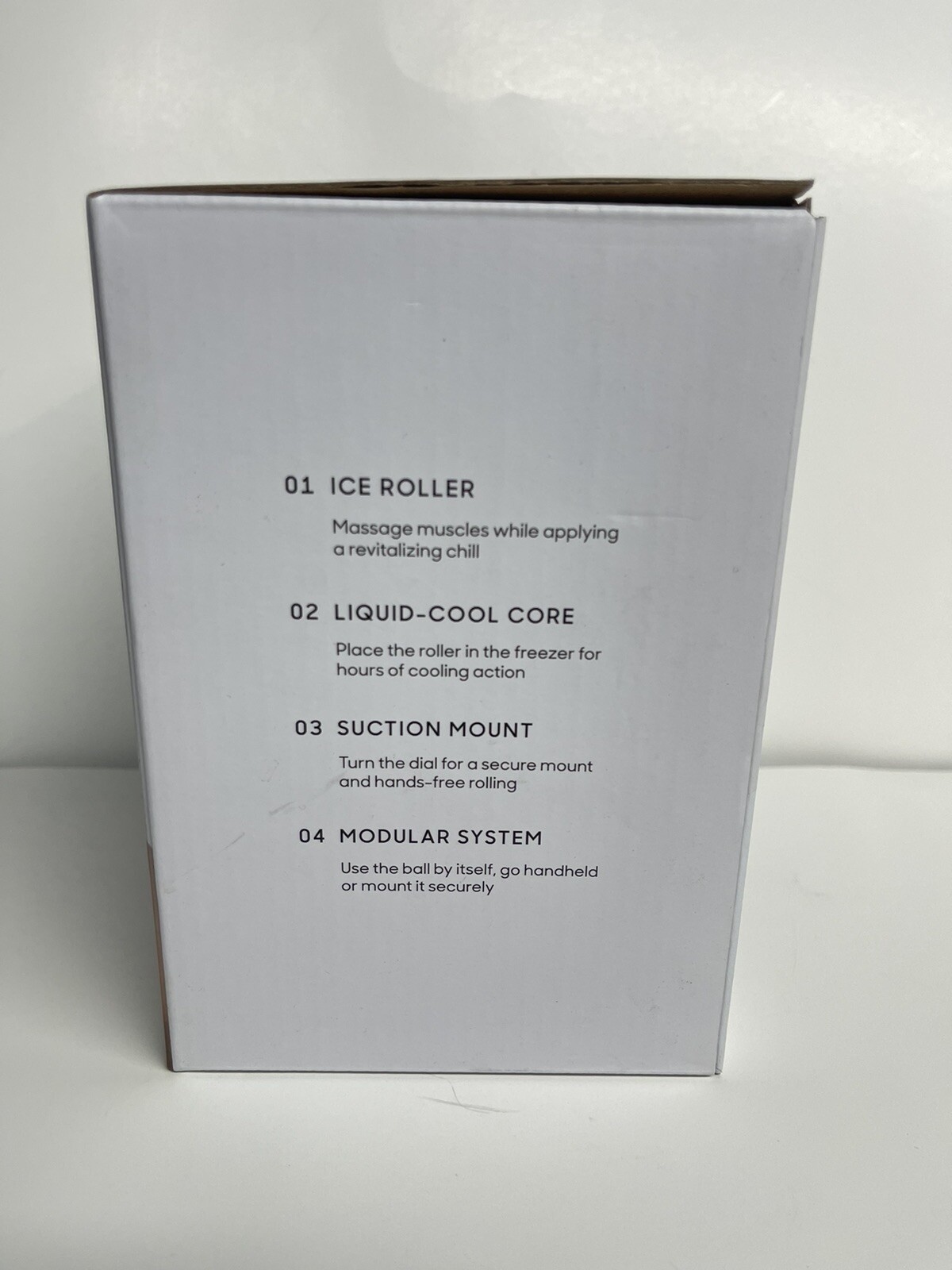 Sharper Image Ice Therapy Massage Ball Roller with Wall Mount | Liquid-cool Core