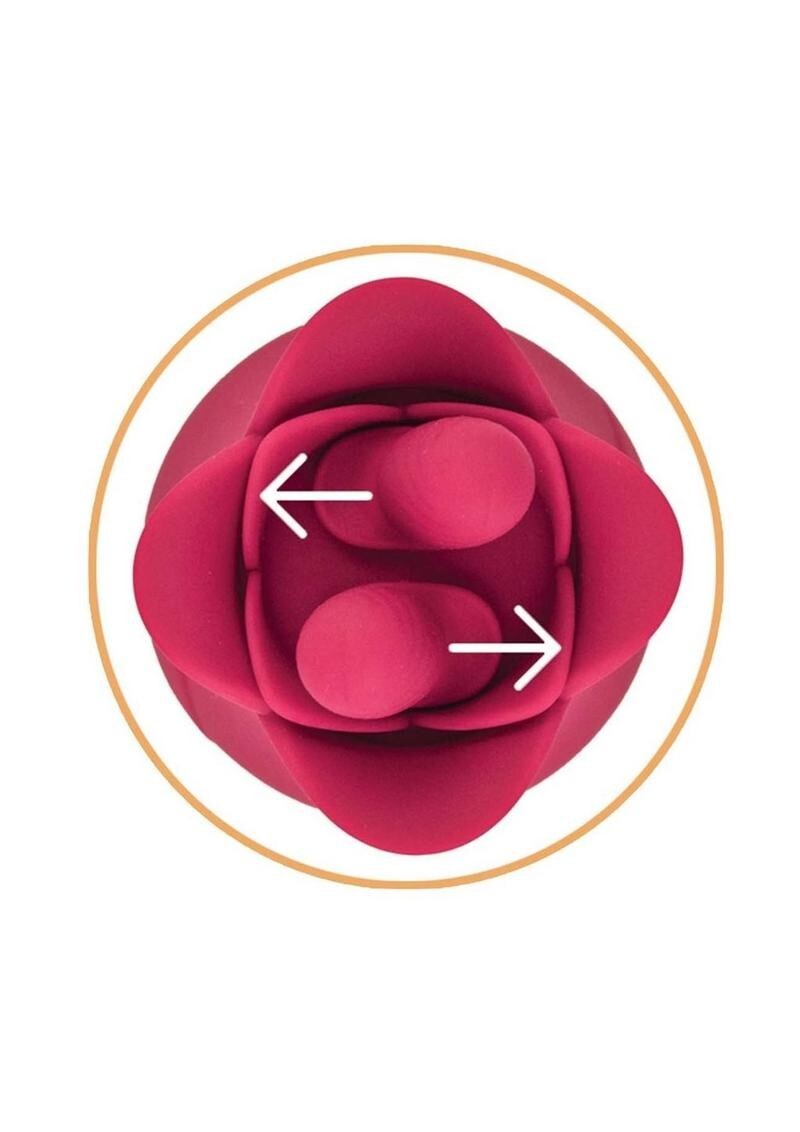 Upgraded 2 in1 Rose Toy For Women 10 Powerful Wand Vibration