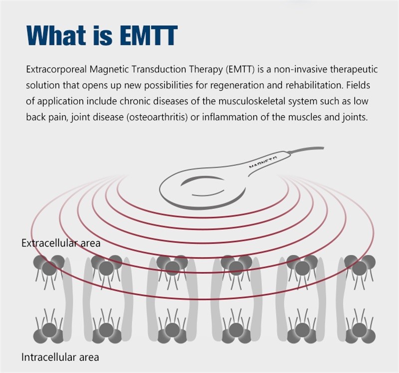 2in1 Professional Pain Relief Physio Magneto pemf Magnetic EMTT therapy machine