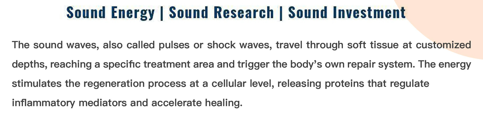 Equine Veterinary Electromagnetic Shockwave Therapy Device For Pain Relief Shock