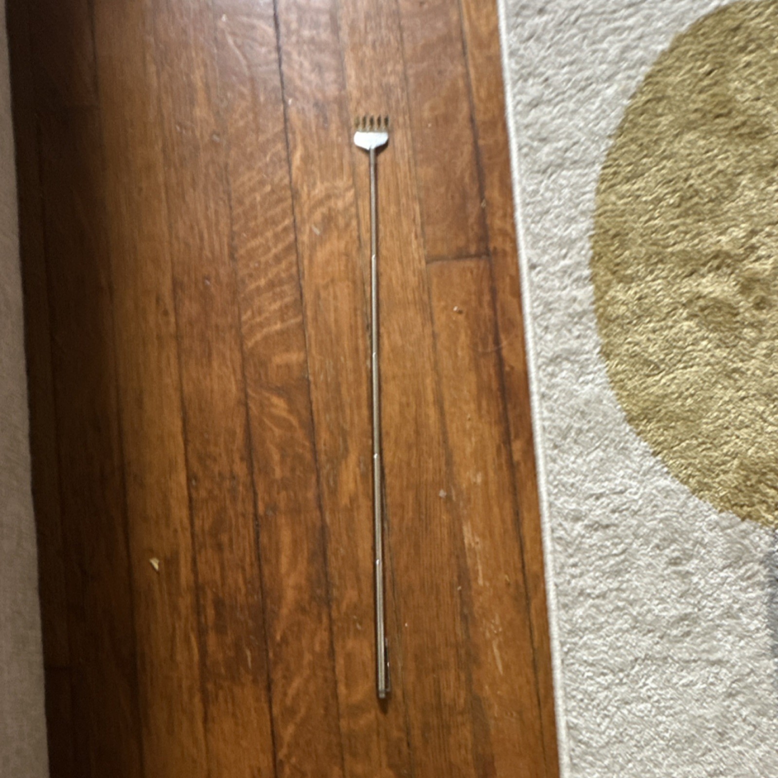 Telescopic Metal Back Scratcher Silver Manual Handheld Lightweight