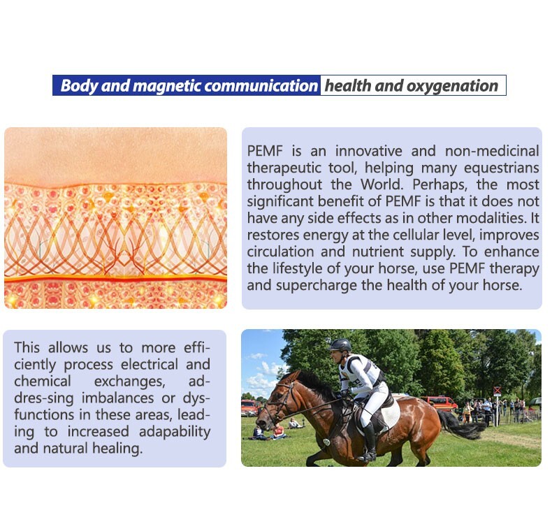 Inventions for Horse Pemf Loop Pemf Magnetic Therapy Device Horse Ankle Rehabili