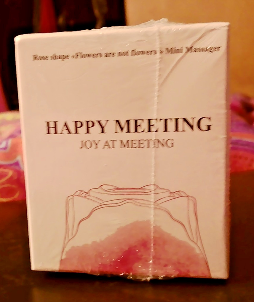 Happy Meeting Joy at Meeting Rose Shaped Mini Massager for Women New RED