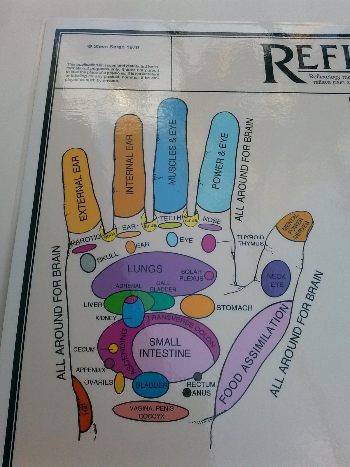 Reflexology Hands & Feet Chart, Poster