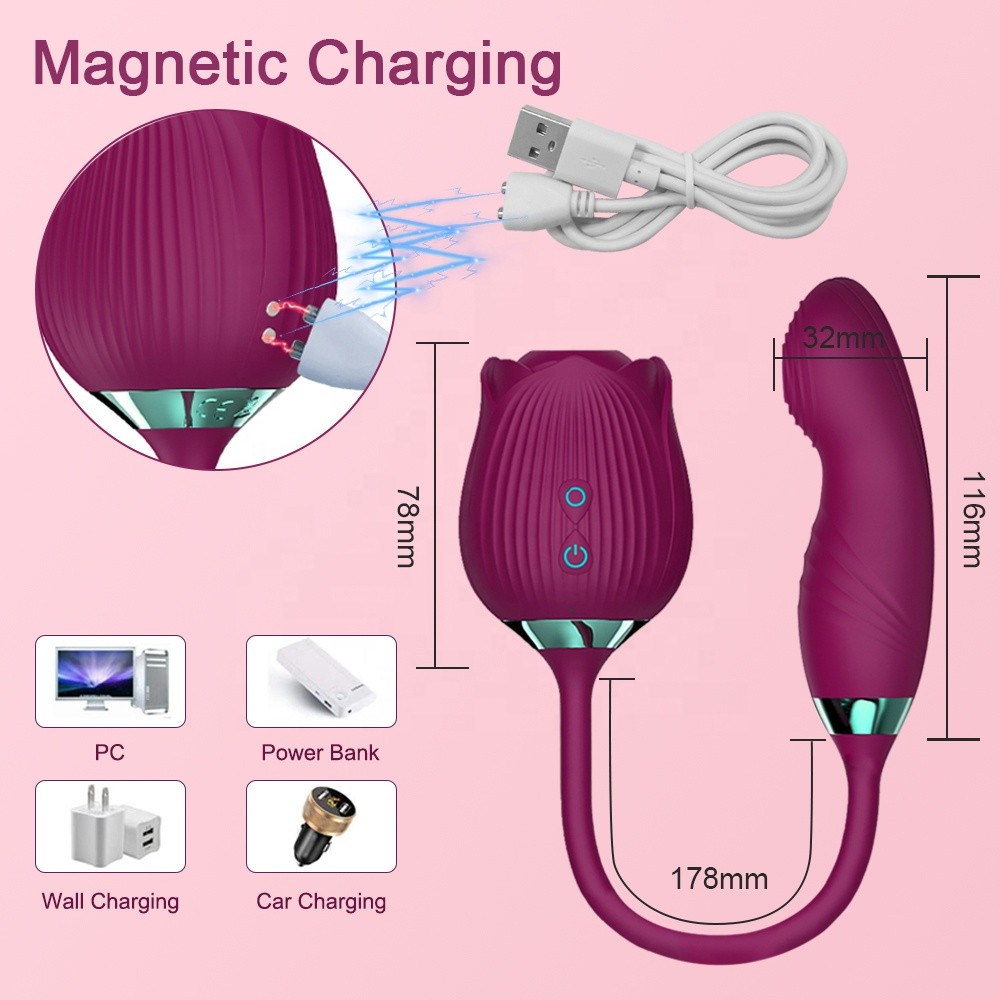 10 speeds Rose Female Anniversary Birthday Gift for Her Massage Tongue Licking