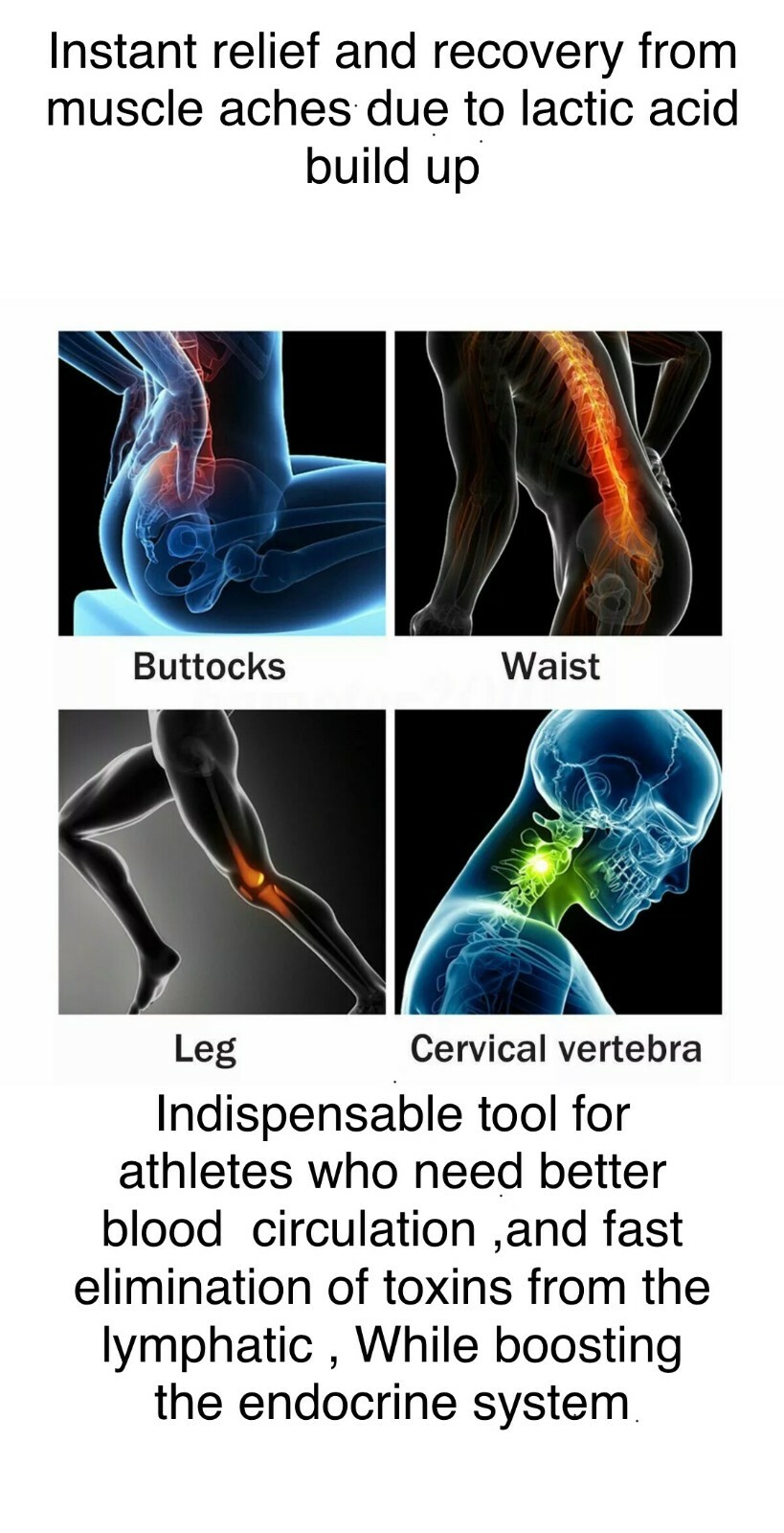 Handheld Cordless Massager | 6 Heads | Brushless | LCD Touch | 30 Speeds | 25.V
