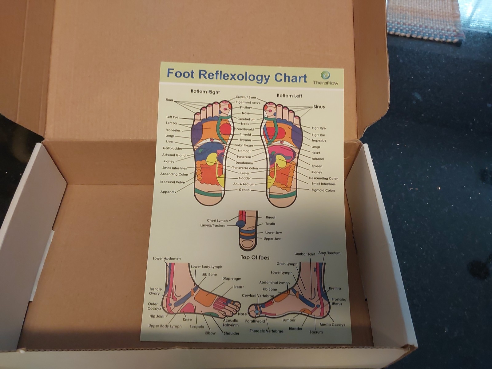 TheraFlow Dual Enhanced Foot Massager Roller TF500 with Foot Reflexology Chart