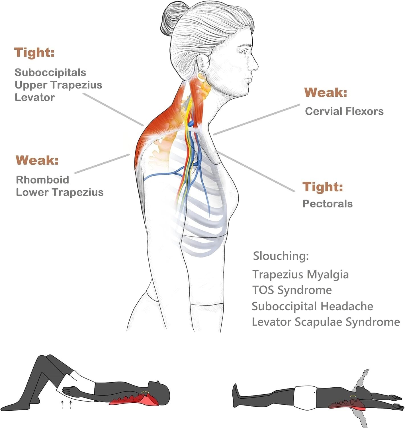 Trapezius Massager Neck Shoulder Back Trigger Point Relief Tension Headache Tool