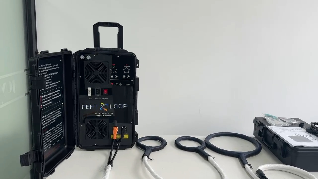Professional Pemf Physio Magnetic Therapy Pmst Loop Pemf Health Care Device