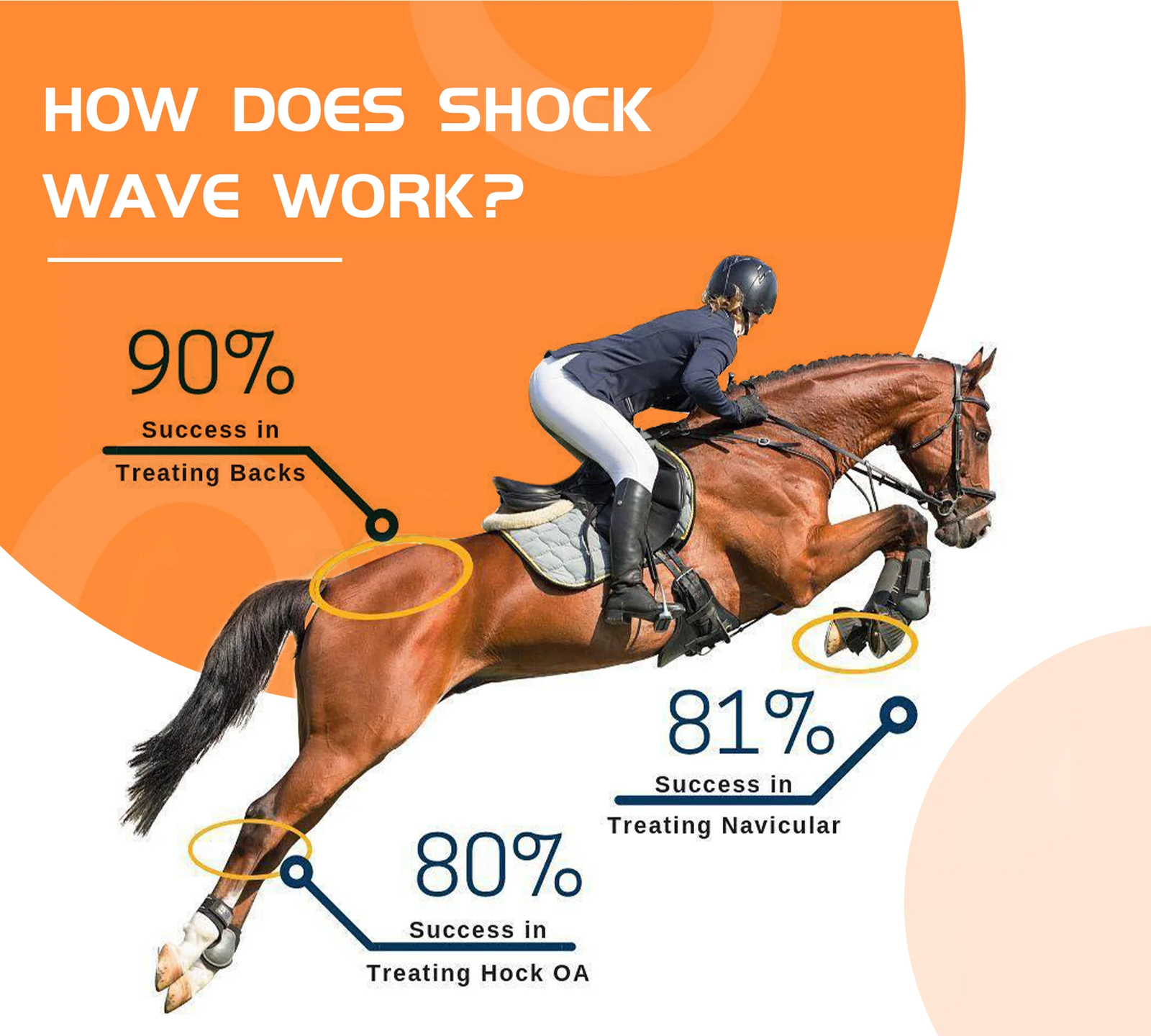 Equine Veterinary Electromagnetic Shockwave Therapy Device For Pain Relief Shock