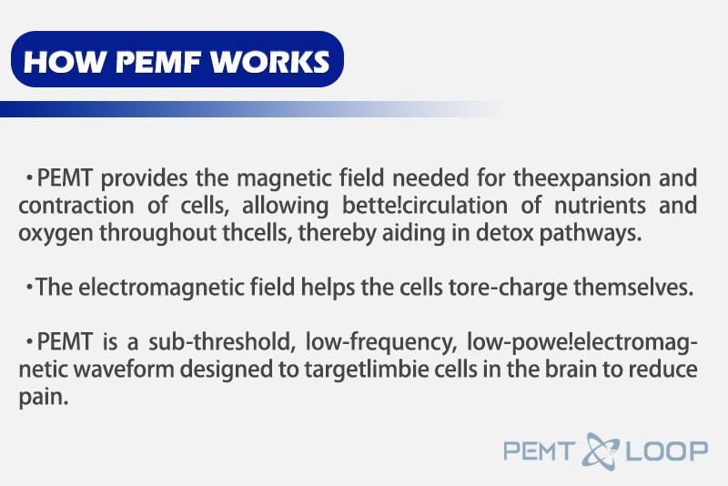 2026 New Physio Magneto PEMF Machine PMST Loop Human Horse Body Relax Equipment