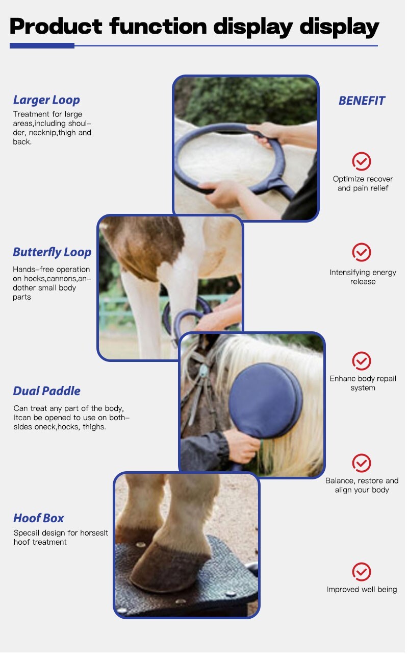 Inventions for Horse Pemf Loop Pemf Magnetic Therapy Device Horse Ankle Rehabili