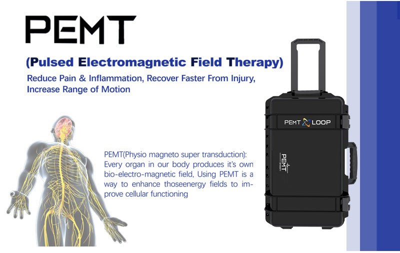 Protable PEMT PEMF PMST Physio Magnetic Therapy Massage Pain Relief Machine