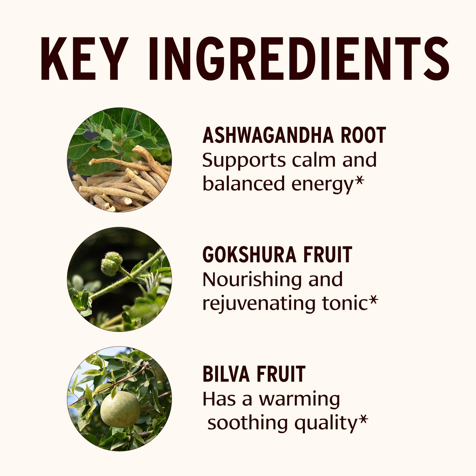 Banyan Botanicals Dashamula Oil+ – Organic Stress Relief Massage Oil with Org…
