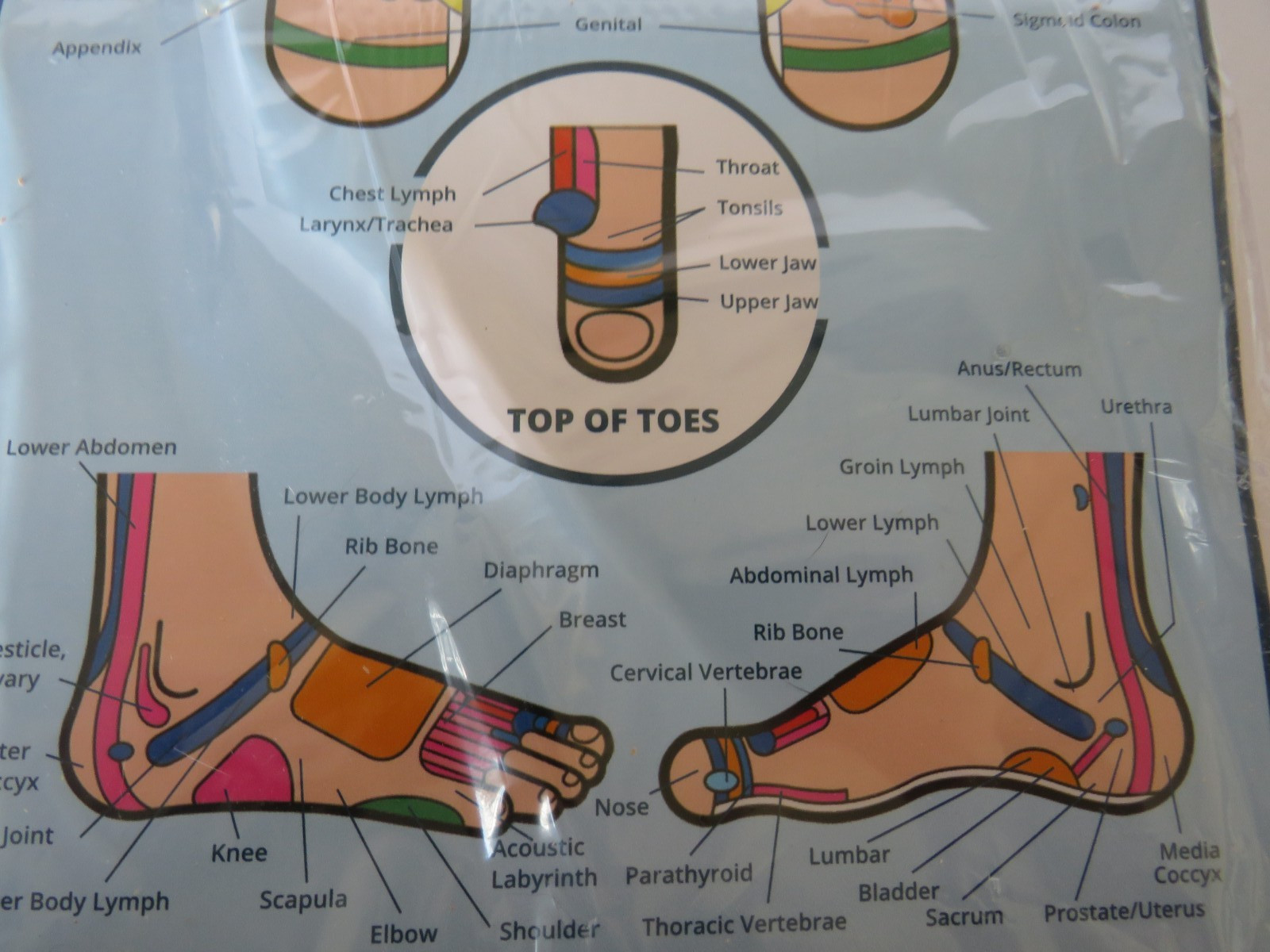 TheraFlow Deep Tissue Foot Massager Roller Dual Foot Plantar Fasciitis Pain