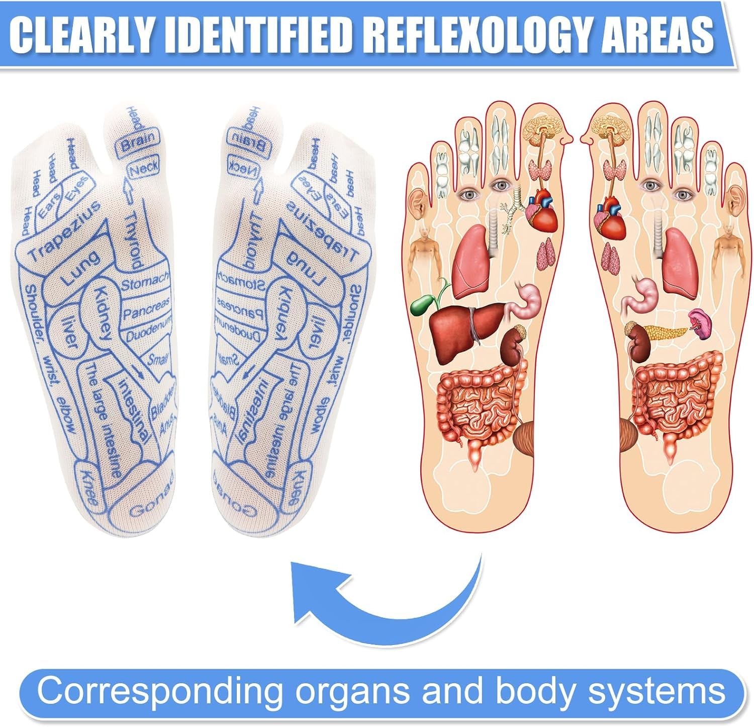 Foot Massage Reflexology Socks Set,Professional Reflexology Socks with Tools …