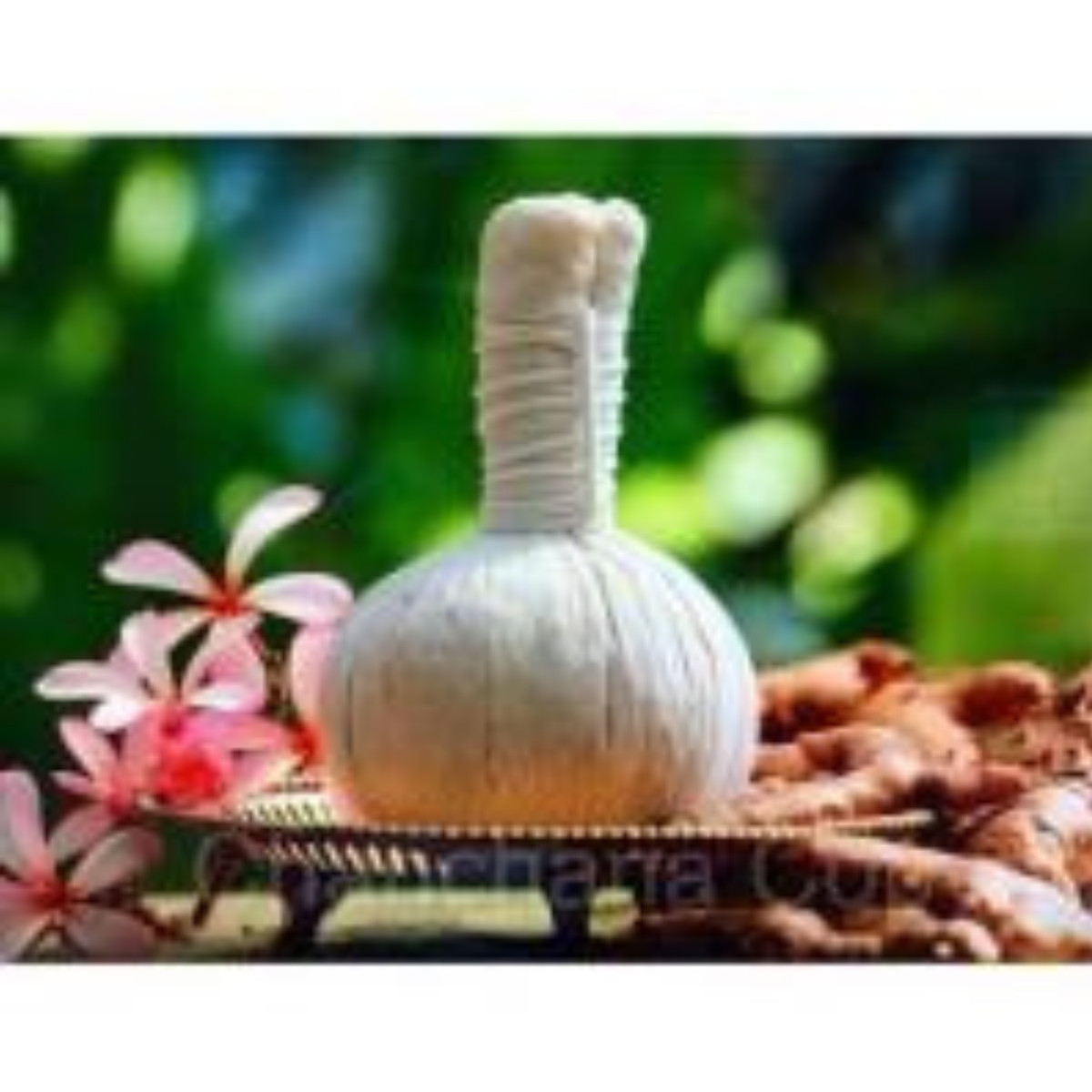 Natural Herbal Therapy Ball Face & Body Spa Relaxation Thai Mass 150 g x12