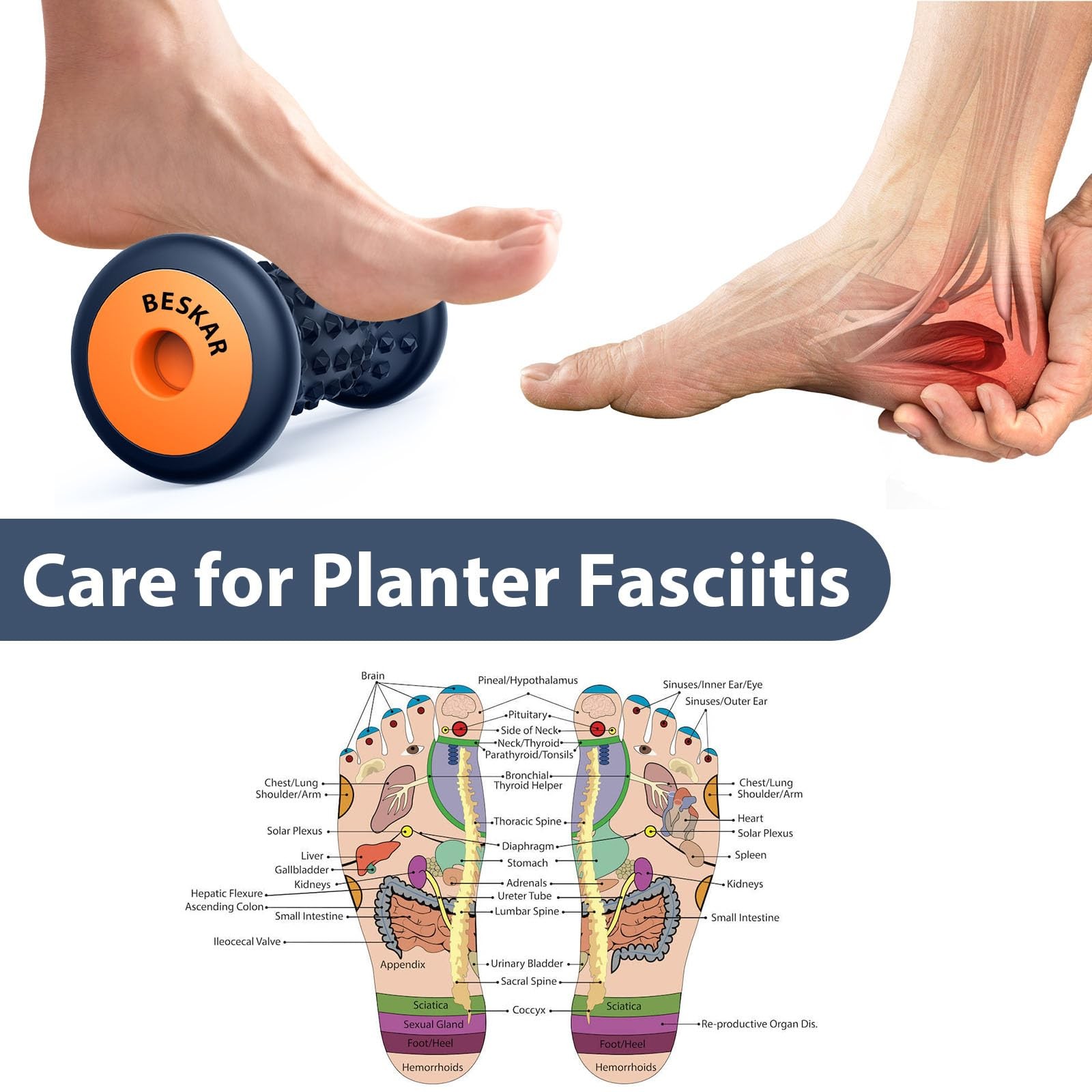 BESKAR Foot Massage Roller for Plantar Fasciitis Relief, Single, Navy Blue