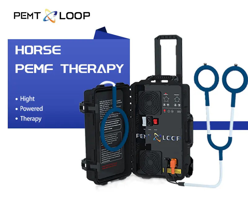 Pmst Loop Pemf Magnetic Therapy System Body Pain Relief Physical Therapy Machine