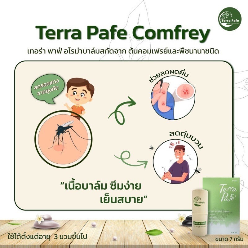 Terra Pafe Comfrey Aromatic Stick Balm Green gel balm from comfrey extract