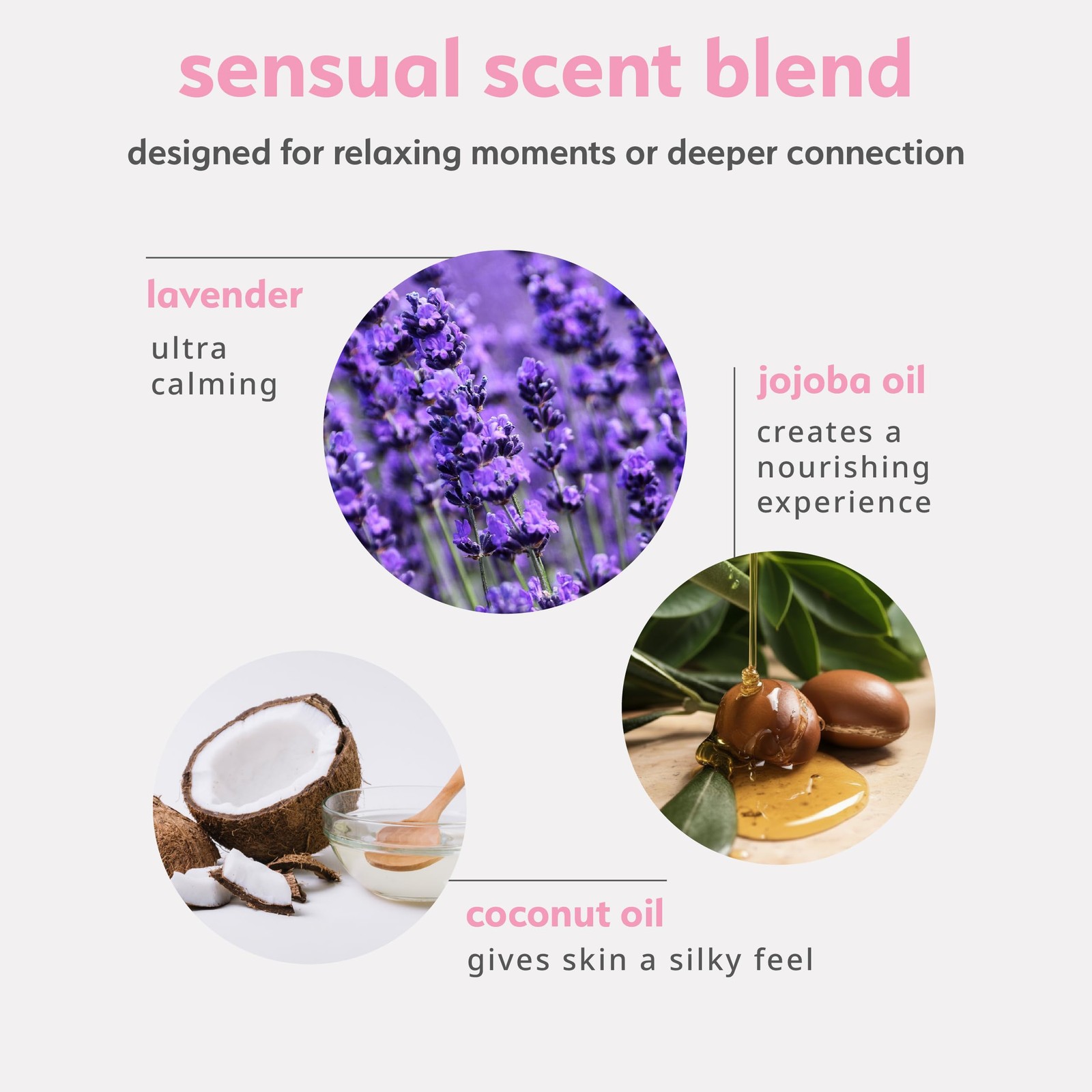 plusOne Sensual Body Oil – Lavender Vanilla 2 Fl Oz (Pack of 1), Clear