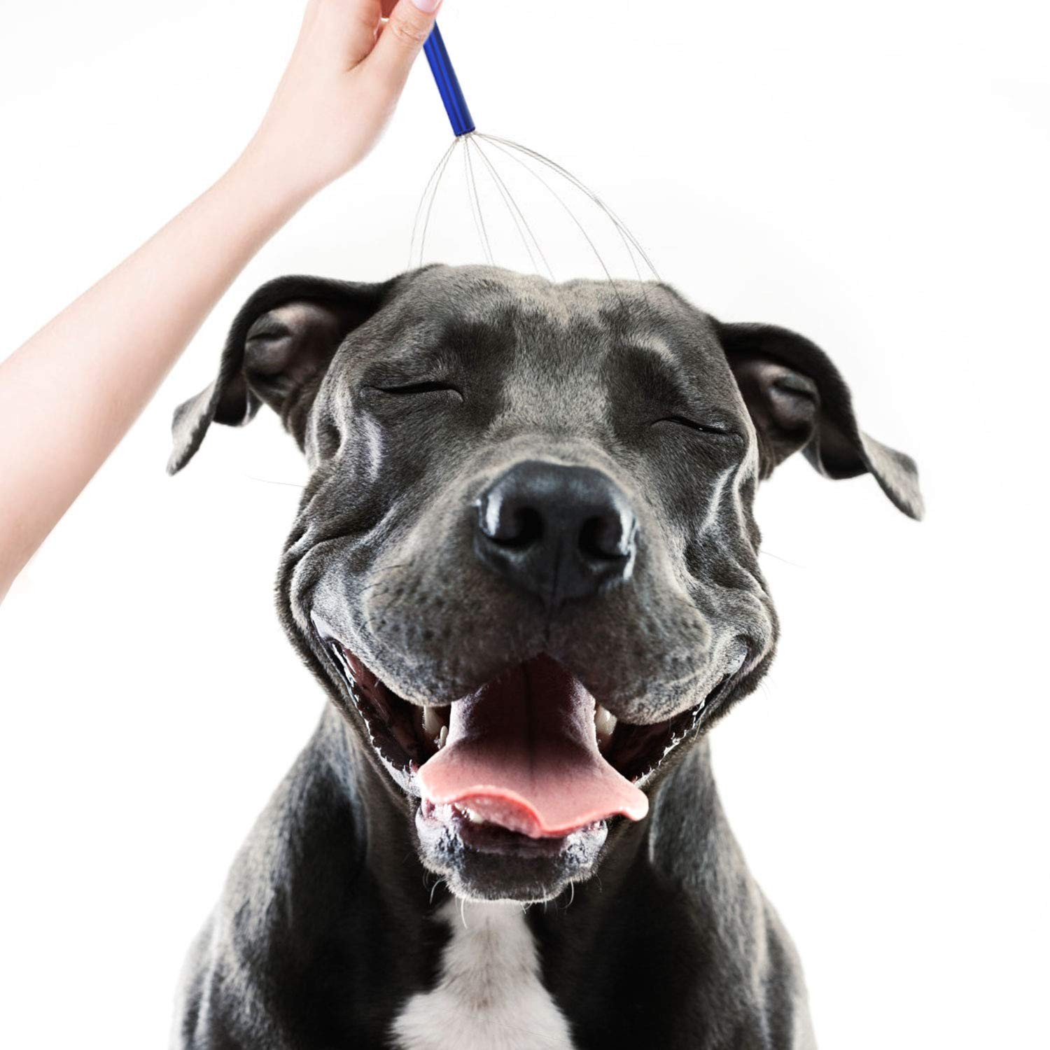 Scalp Massager Handheld Head Scratcher Relaxation Tool 2 Pack