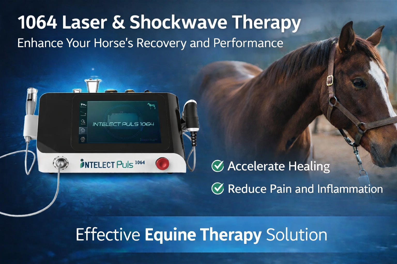 Equine 12W 1064nm High Power Laser ESWT Shockwave Therapy for Horse Body Relax